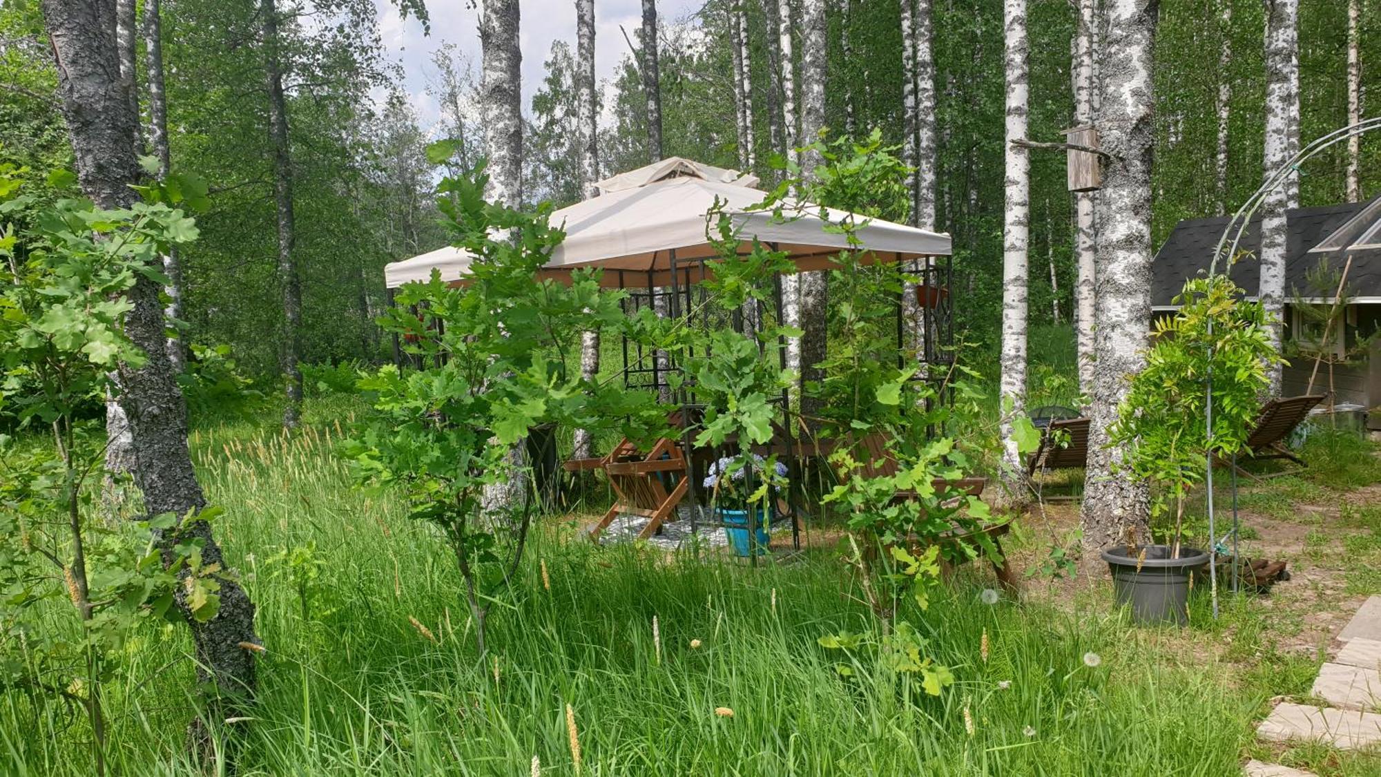 Troll House Eco-Cottage, Nuuksio For Nature Lovers, Petfriendly 에스포 외부 사진